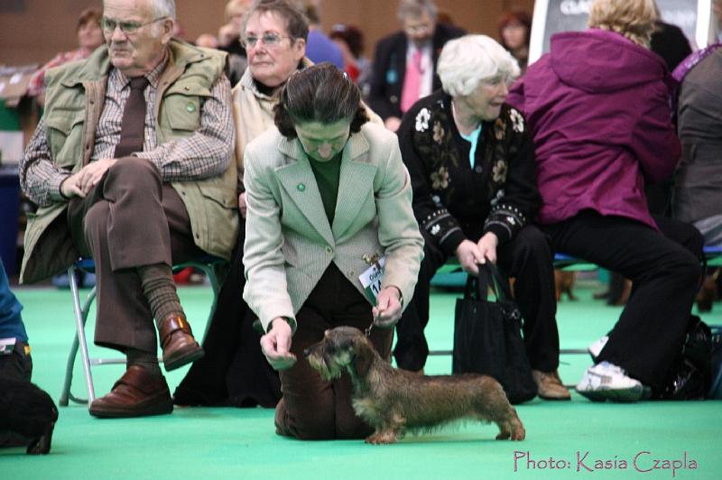 Crufts2011_2 1288.jpg